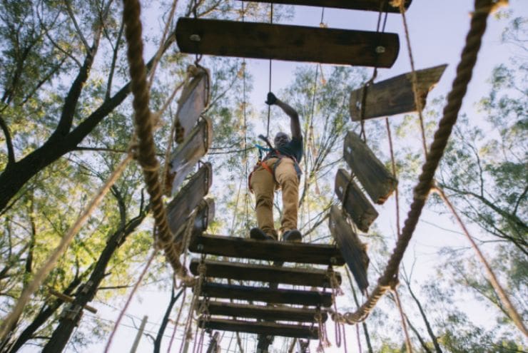 Constantia & Surrounds: Activities, Experiences and Accommodation
