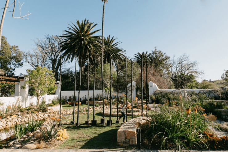 Kids and Family Activities in and Around Cape Town