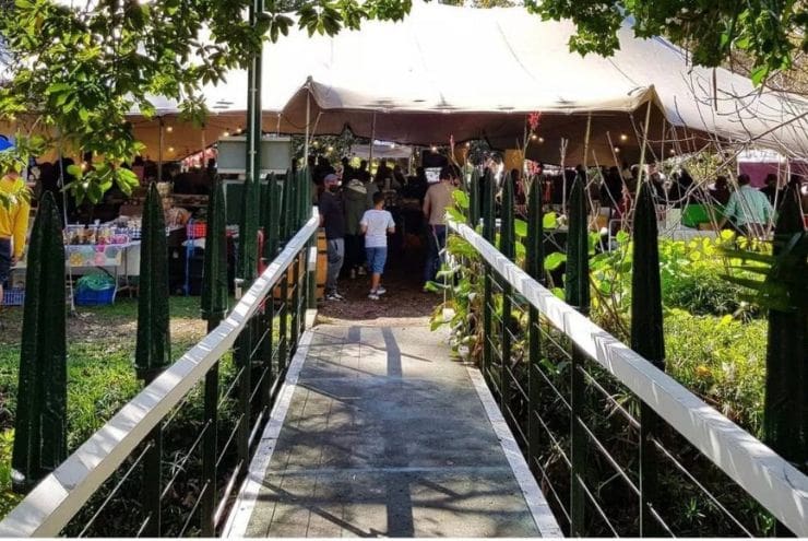 Constantia & Surrounds: Activities, Experiences and Accommodation