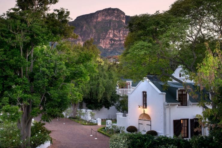 Constantia & Surrounds: Activities, Experiences and Accommodation