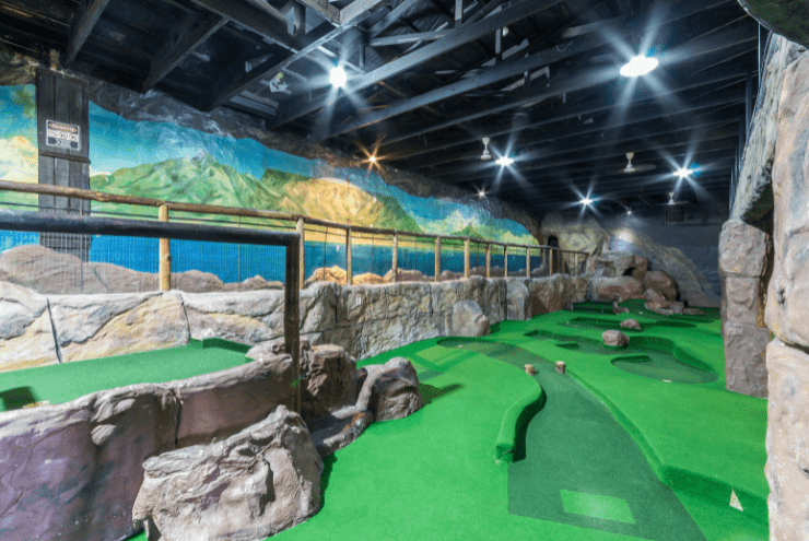Activities In Cape Town Under R250 Per Person
