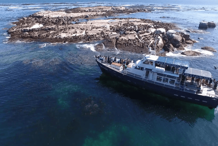 Activities In Cape Town Under R250 Per Person