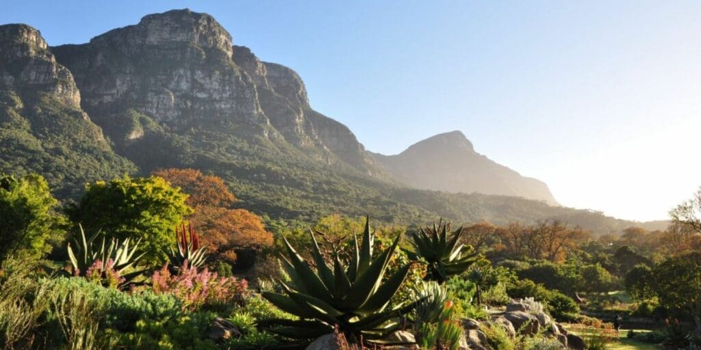 Kirstenbosch National Garden