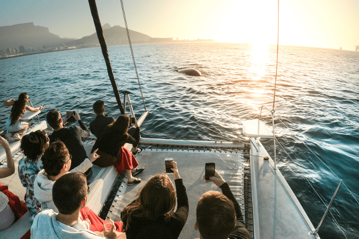cruises