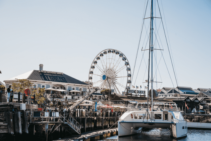 cruises
