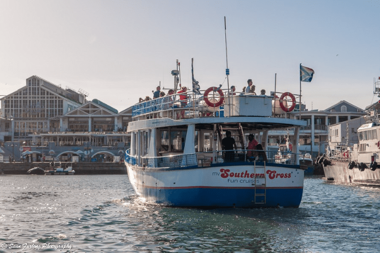 cruises