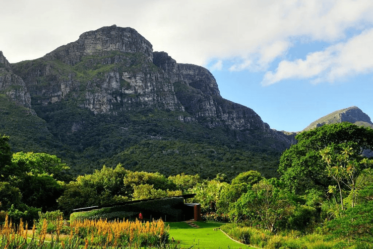 Prime Picnic Spots in Cape Town and Surrounds