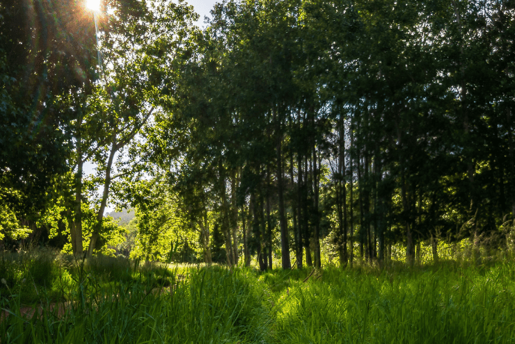 Top 10 Trail Running Spots