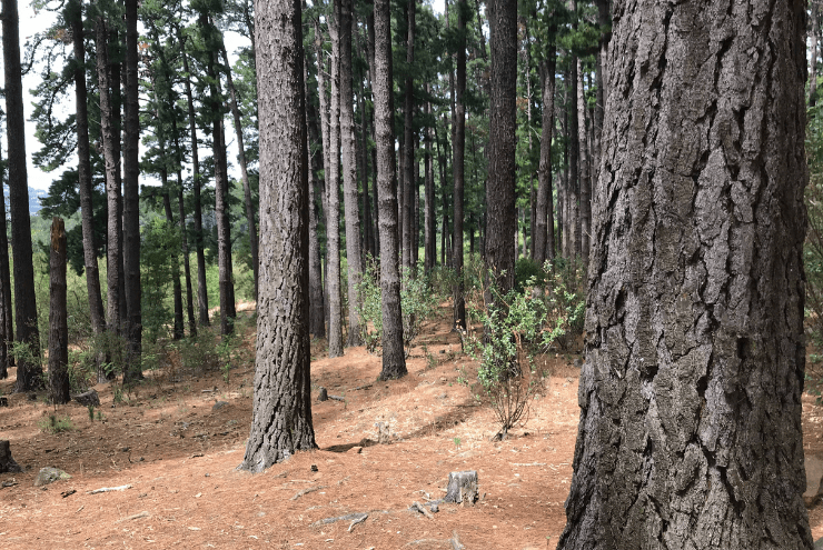 Top 10 Trail Running Spots