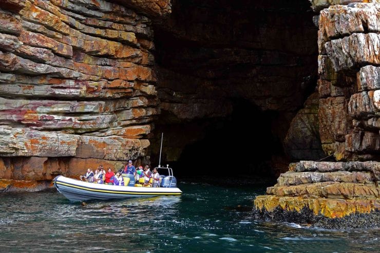 Simon's Town Boat Company whale watching tours Cape Point Cruise