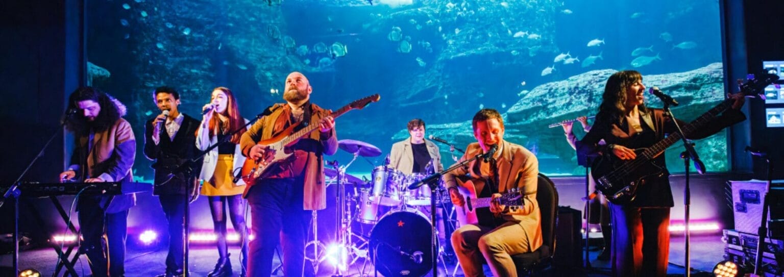 aquarium after dark concerts