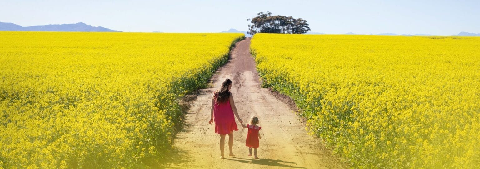 canola fields photoshoot